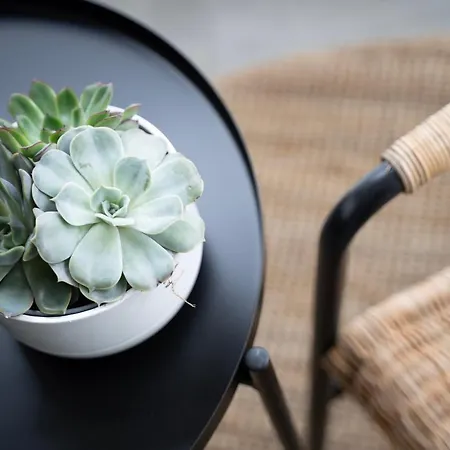 شقة Haus Seeadler 2 Eg *